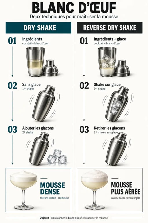 Infographie sur la technique du cocktail blanc d'œuf et les deux méthodes de shaker